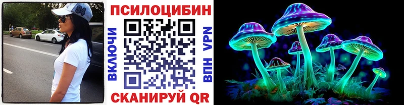 купить закладку  Новосиль  Псилоцибиновые грибы Cubensis 